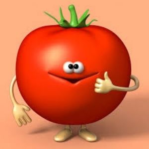 LITTLE TOMATOS - ALL THINGS KIDS!